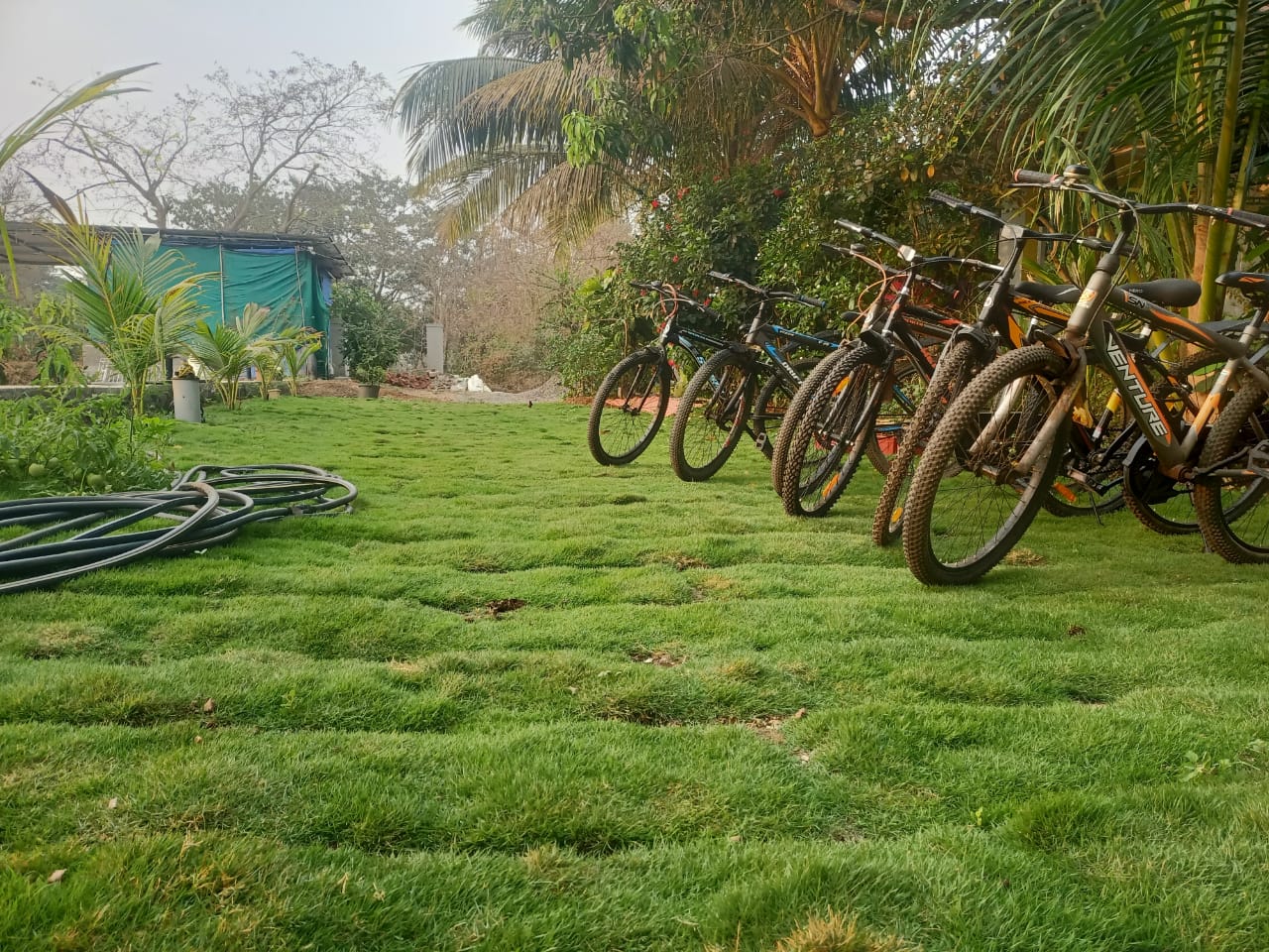 WhatsApp Image 2023-03-16 at 12.22.55 PM